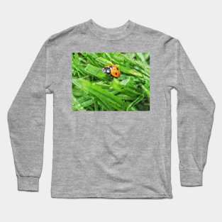 Ladybug travels Long Sleeve T-Shirt